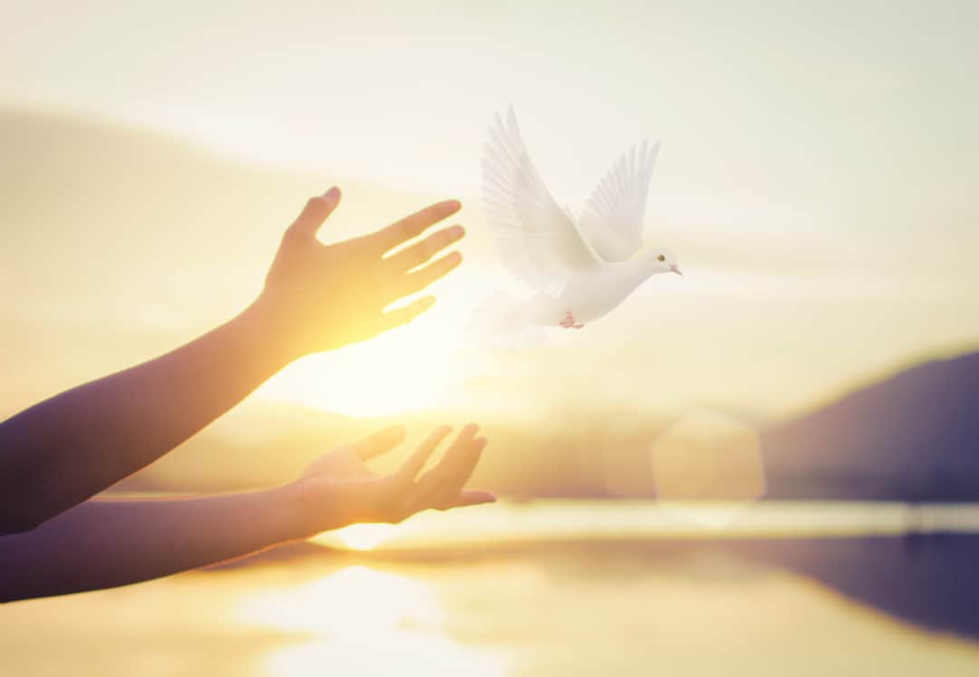 A person releasing a bird into the air.