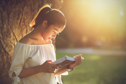 A woman is reading in the sunlight