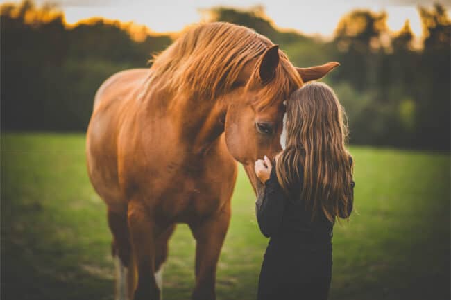 A person standing next to a horse in the grass.